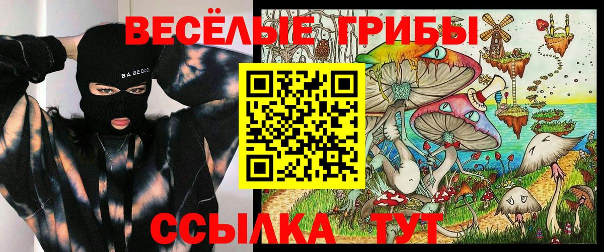 Галлюциногенные грибы ЛСД Майкоп